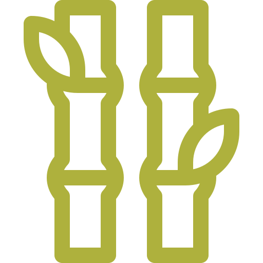 cana e açucar icon