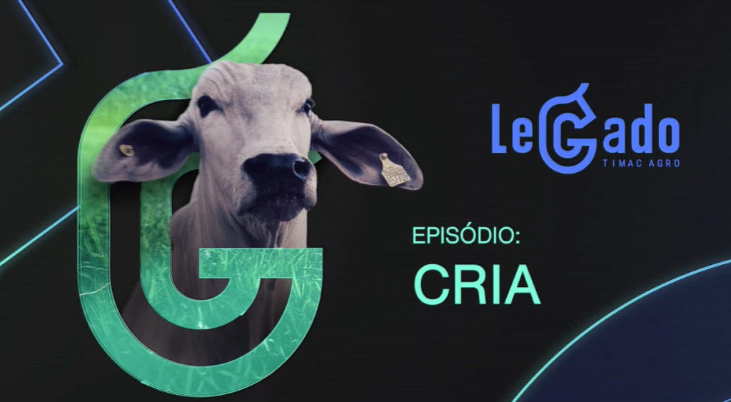 Cria