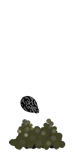 Melancia - fase plantio