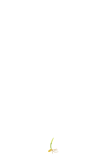 Trigo - fase de plantio